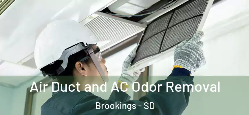  Air Duct and AC Odor Removal Brookings - SD