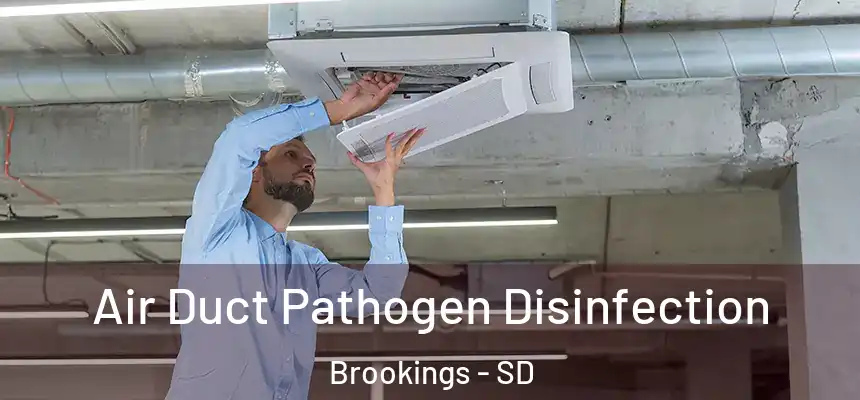 Air Duct Pathogen Disinfection Brookings - SD