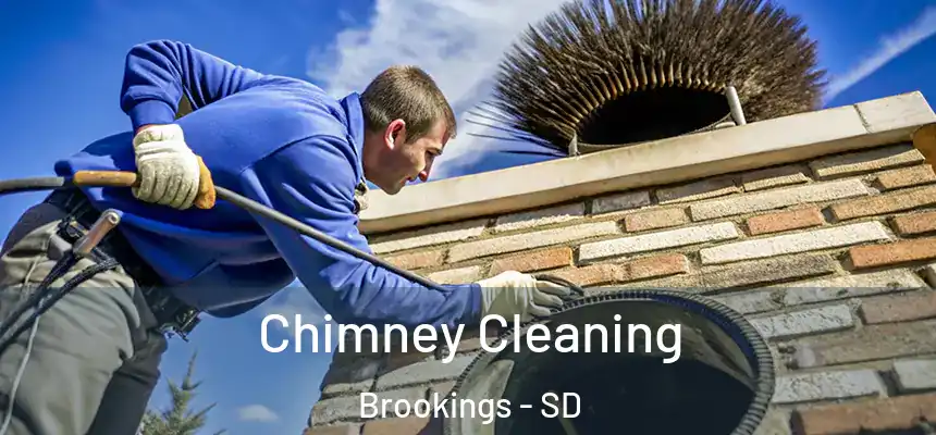  Chimney Cleaning Brookings - SD