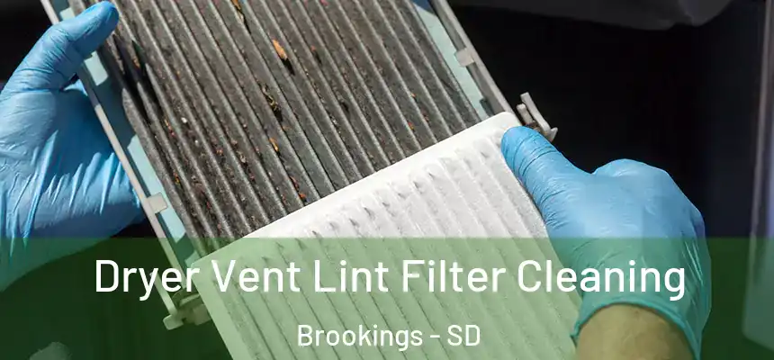  Dryer Vent Lint Filter Cleaning Brookings - SD
