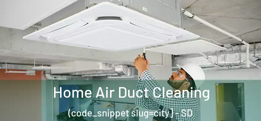  Home Air Duct Cleaning (code_snippet slug=city] - SD