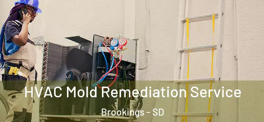 HVAC Mold Remediation Service Brookings - SD