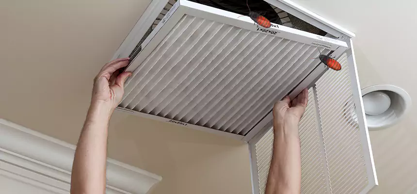 Preventive Cockroach-Proofing for Ducts in Brookings