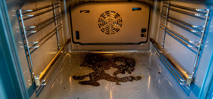 Our Dryer Vent Mold Cleaning Services in Brookings, SD