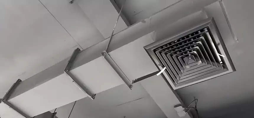 Our Rodent Droppings In Vents Services in Brookings, SD