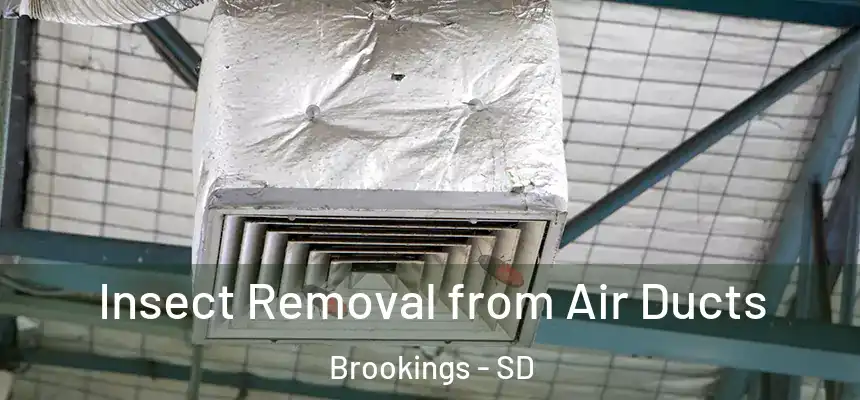 Insect Removal from Air Ducts Brookings - SD