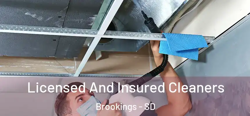  Licensed And Insured Cleaners Brookings - SD