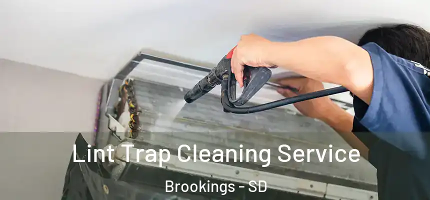 Lint Trap Cleaning Service Brookings - SD