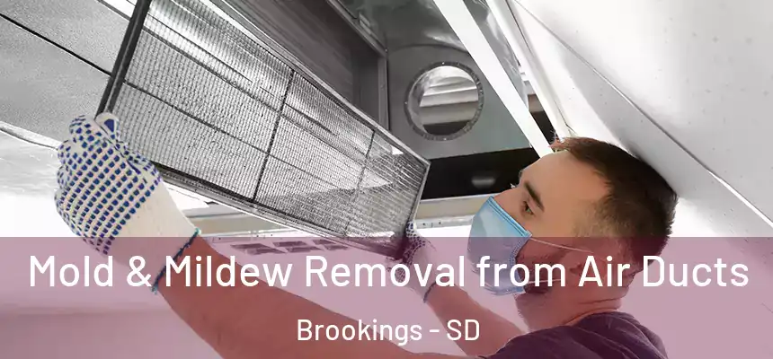Mold & Mildew Removal from Air Ducts Brookings - SD