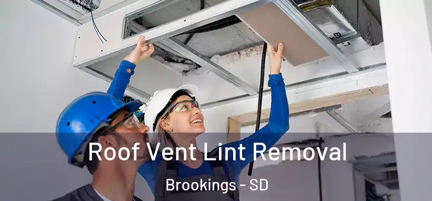 Roof Vent Lint Removal Brookings - SD