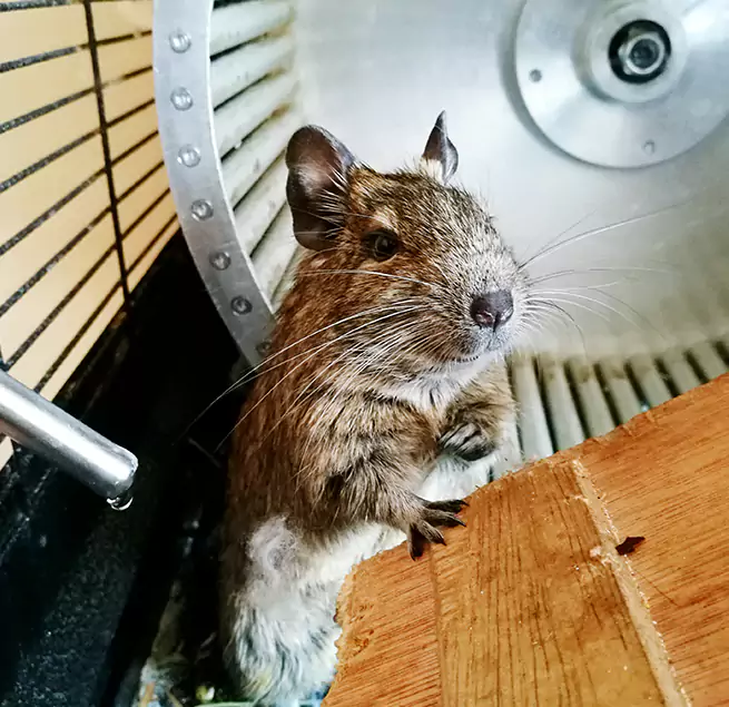 Why Homeowners & Businesses Trust Us Brookings, SD?