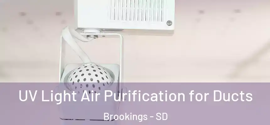 UV Light Air Purification for Ducts Brookings - SD